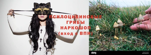прущая мука Касимов